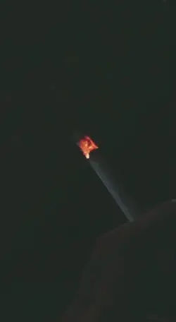 🫀
