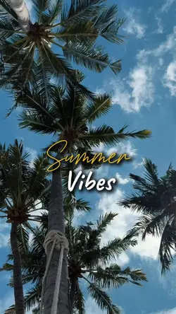 summer vibes