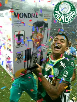 Meme Palmeiras 