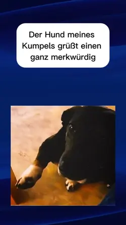 Der Gruß 