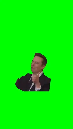 ELON MUSK THUMBS UP
