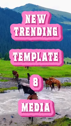 8 Media Template 