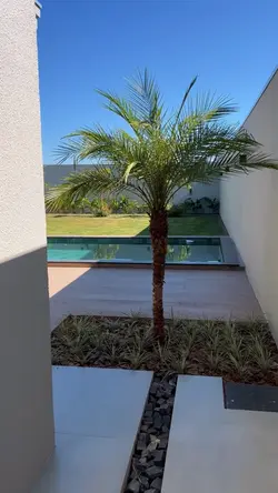 MUI RICO EDIT