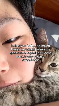 I miss my cat