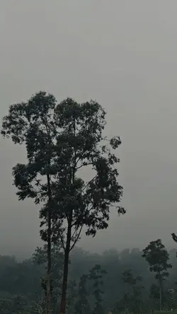 suasana alam