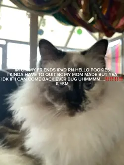 RAAAA