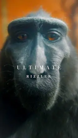 Monkey Rizz