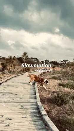 Slowmotion Aesthetic