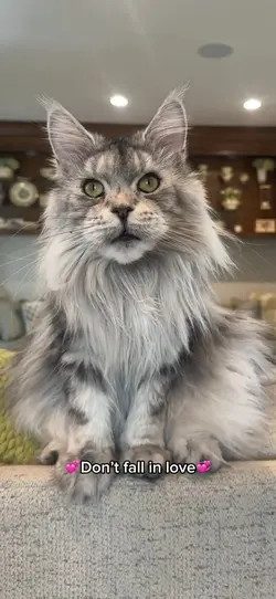 She’s a beauty
