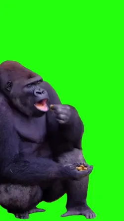 Gorilla Eating Meme