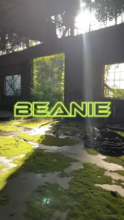 Beanie