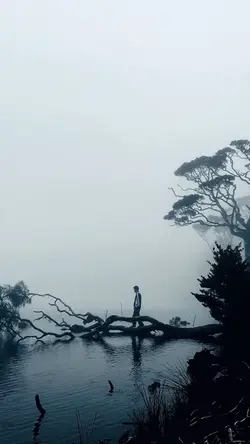 Aesthetic