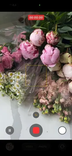 Bouquet transition 