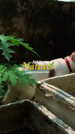 Nature