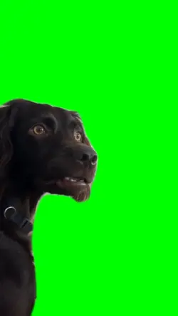 green screen 