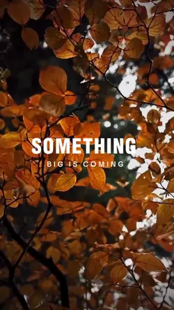 SOMETHING 