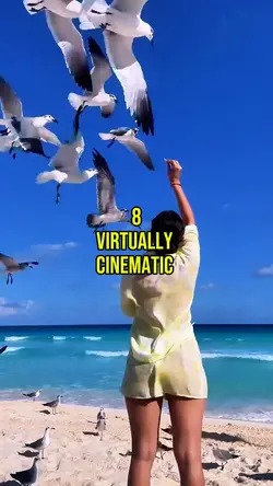 Cinematic Vibes