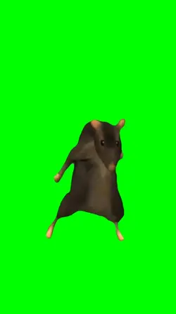Rat Dance