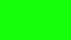 Solo Pantalla Verde