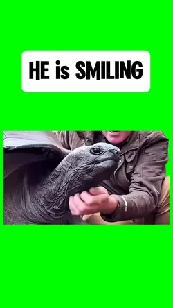 HE is SMILING