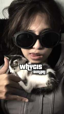 VERSI NO MIROR