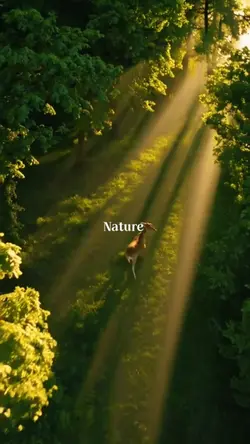 Natur-E
