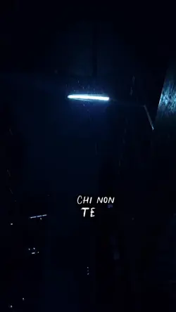 Chi non te cerca