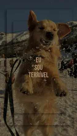 eu sou terrível 🤪