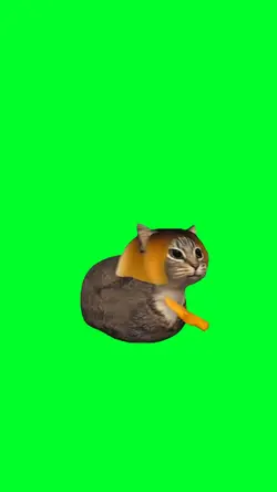 Oiia cat gets a bob