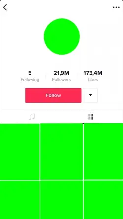 Tiktok profile 