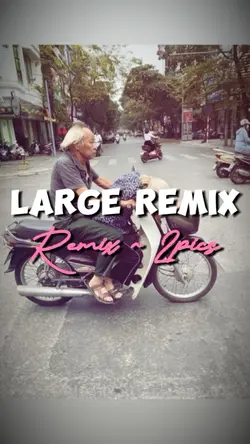 LARGE REMIX
