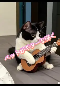 ギターを弾くペット