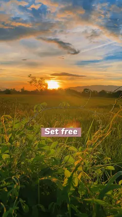 Set free