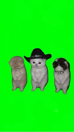La calabaza trend