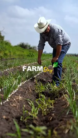 Farm Day