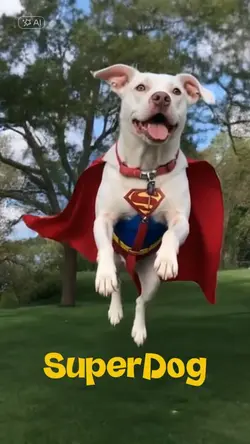 SuperDog 