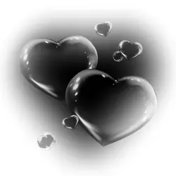 amoo !!