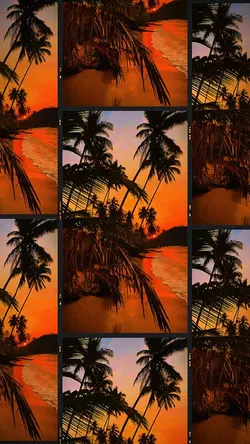 8 clip or photo 