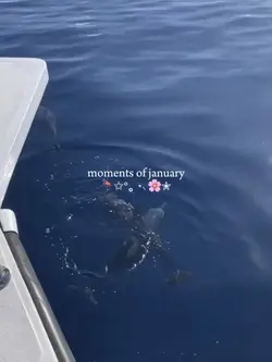 moments of january