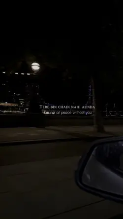 Teri bin