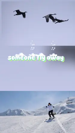 4videoCollage