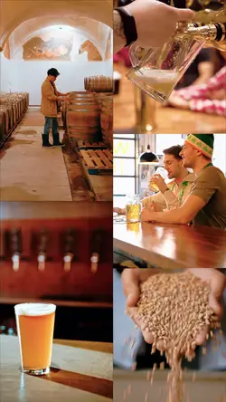 Beer
