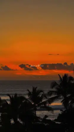 paradise