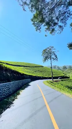 road trip