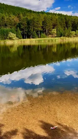 Hallo August