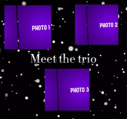 Trend Edit New 