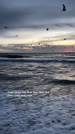 Cuộc sống này thật b