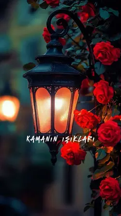 Kamanın ışıkları... 