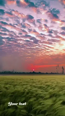 Sunset AI