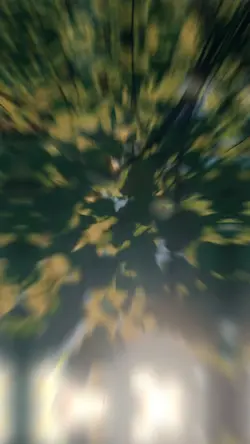 2 video